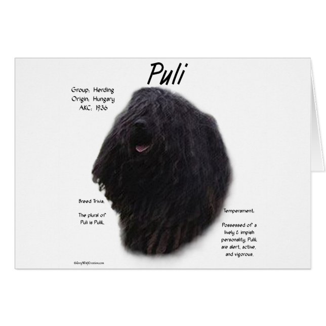 Puri履歴デザイン (正面横)