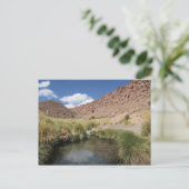 Puritama Hot春、アタカマ砂漠、チリ ポストカード (スタンド正面)