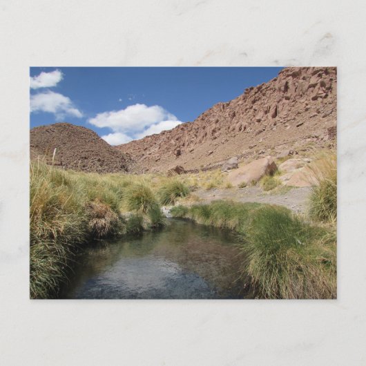 Puritama Hot春、アタカマ砂漠、チリ ポストカード (正面)