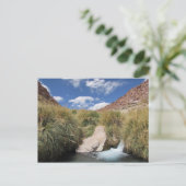 Puritama Hot春、アタカマ砂漠、チリ ポストカード (スタンド正面)