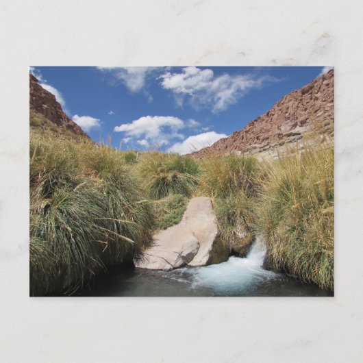 Puritama Hot春、アタカマ砂漠、チリ ポストカード (正面)