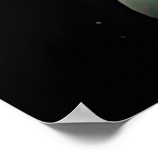 Purity (Space Lily #9) ポスター (角)