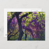 Purple ポストカード (正面/裏面)