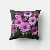 Purple African Daisy Flowers クッション (裏面)