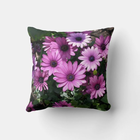 Purple African Daisy Flowers  クッション (裏面)