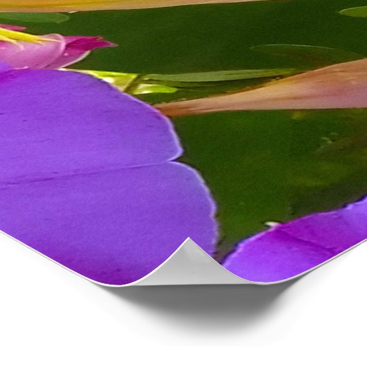 PURPLE AND GREEN ABSTRACT DRAWING. SAMER BRASIL. 4 ポスター (角)