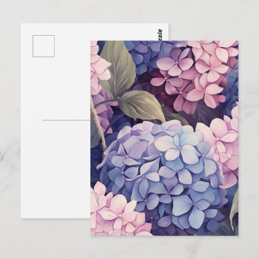 purple and pink hydrangea flower heads ポストカード (正面/裏面)
