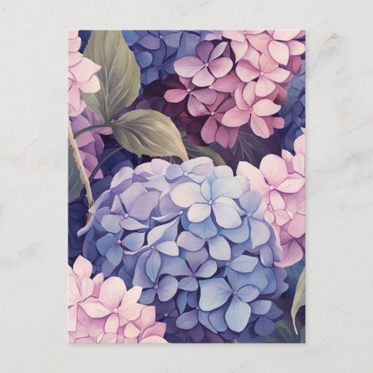 purple and pink hydrangea flower heads ポストカード (正面)