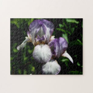 Purple And White Bearded Iris Flower Pair ジグソーパズル