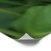 Purple and White Dahlia ポスター (角)