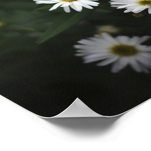 Purple and White Flowers ポスター (角)