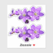Purple Anemone Hepatica Flowers Vinyl Sticker シール (シート)