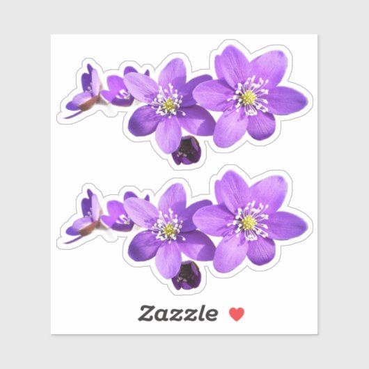 Purple Anemone Hepatica Flowers Vinyl Sticker シール (シート)