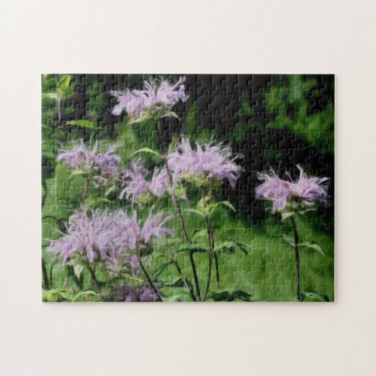 Purple Bee Balm Flowers Photo 絵画's ジグソーパズル (横)