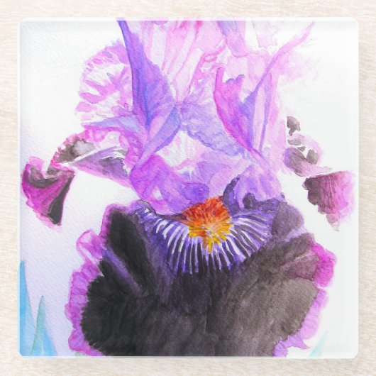 Purple Black Iris Watercolor Flower Floral ガラスコースター (正面)