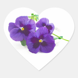 purple blue anniversary flower Pansy cut ハートシール