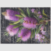 Purple Bottlebrush Flower Decoupage 薄葉紙 (正面)