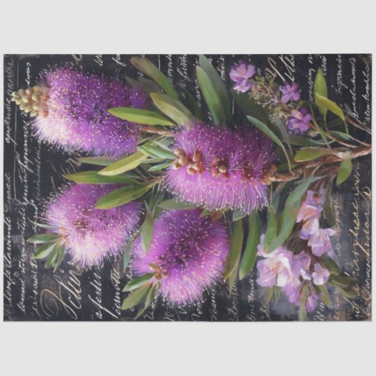 Purple Bottlebrush Flower Decoupage 薄葉紙 (正面)