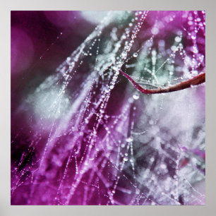Purple Cobwebマクロ抽象芸術の雨滴 ポスター