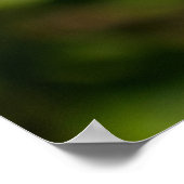 Purple Coneflower ポスター (角)