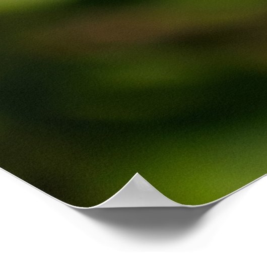 Purple Coneflower ポスター (角)