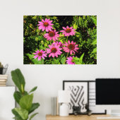 Purple Coneflowers、Bute Park、Cardiff、Wales ポスター (ホームオフィス)