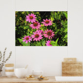 Purple Coneflowers、Bute Park、Cardiff、Wales ポスター (キッチン)
