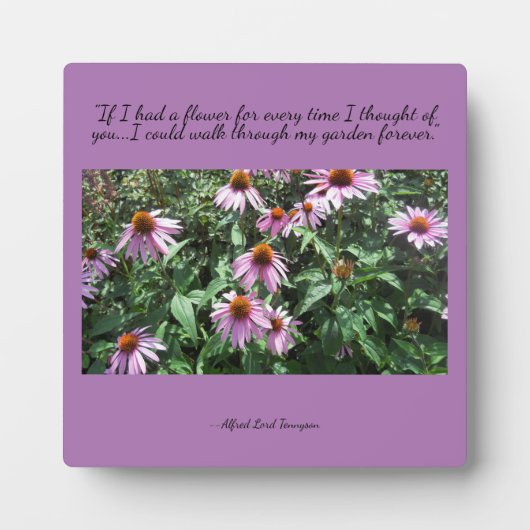 Purple Coneflowers Thoughts of You Tabletop Plates フォトプラーク (正面)