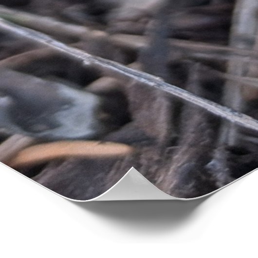 Purple Crocus ポスター (角)