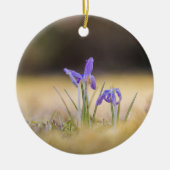 Purple Crocusesの自然写真 セラミックオーナメント (正面)