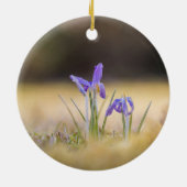 Purple Crocusesの自然写真 セラミックオーナメント (裏面)