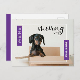 Purple Dachshund Dog in Boxはがき ポストカード