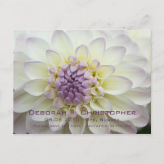 Purple Dahlia ・日付ポストカードの保存 案内ポストカード