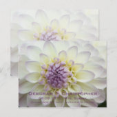 Purple Dahlia ・日付ポストカードの保存 案内ポストカード (正面/裏面)