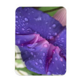 Purple Dewdrop Morning Glory マグネット (縦)