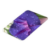 Purple Dewdrop Morning Glory マグネット (左側)