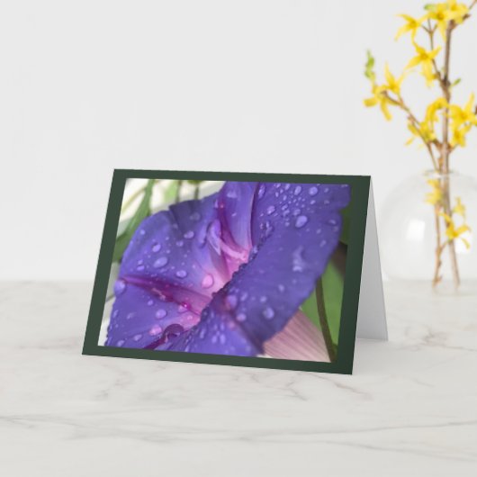 Purple Dewdrop Morning Glory Blank カード (黄色い花)