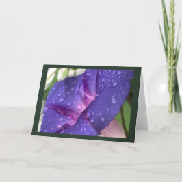 Purple Dewdrop Morning Glory Blank カード