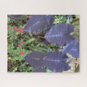 Purple Elephant Ears, Red Impatiens, Green Ferns ジグソーパズル (横)