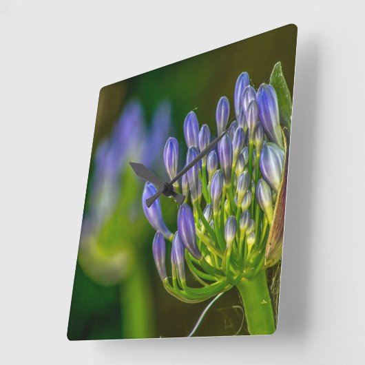 Purple Flower Wall Clock スクエア壁時計 (傾斜)