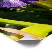 Purple Flowers Floral Iris Irises Mothers Day ポスター (コーナー)