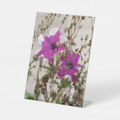 Purple Flowers Photo 台座サイン (正面)