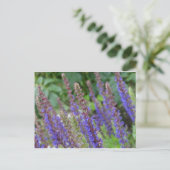 Purple flowers postcard ポストカード (スタンド正面)