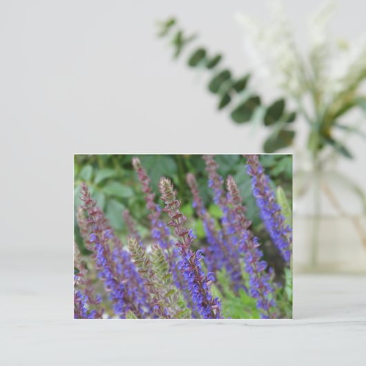 Purple  flowers postcard ポストカード (スタンド正面)