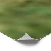 Purple Fringed Tulip  ポスター (角)