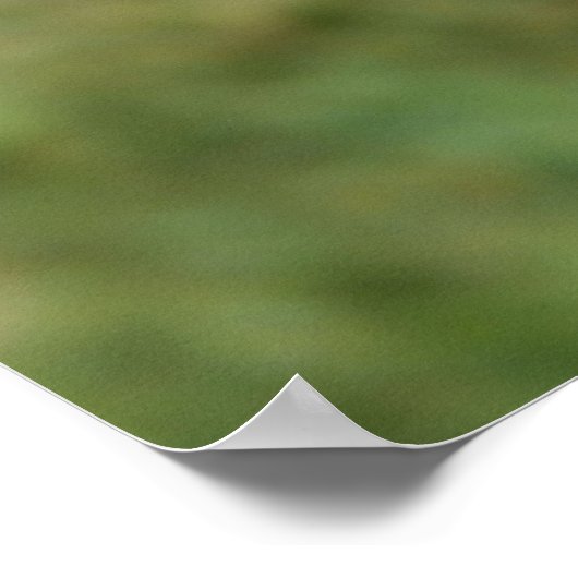 Purple Fringed Tulip  ポスター (角)