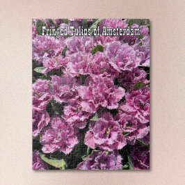 Purple Fringed Tulips of Amsterdam Jigsaw Puzzle ジグソーパズル