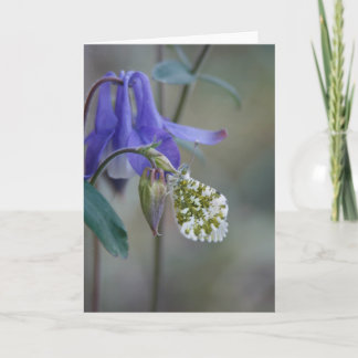 Purple Granny's bonnet/Columbine Greeting Card 案内状