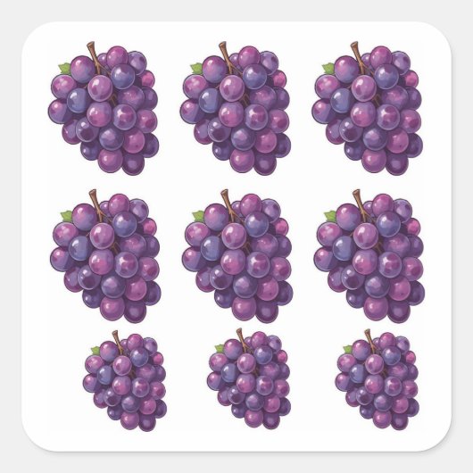 Purple Grapes スクエアシール (正面)