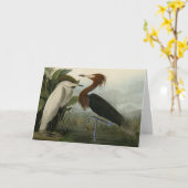 Purple Heron – アメリカのオードボンの鳥から カード (黄色い花)